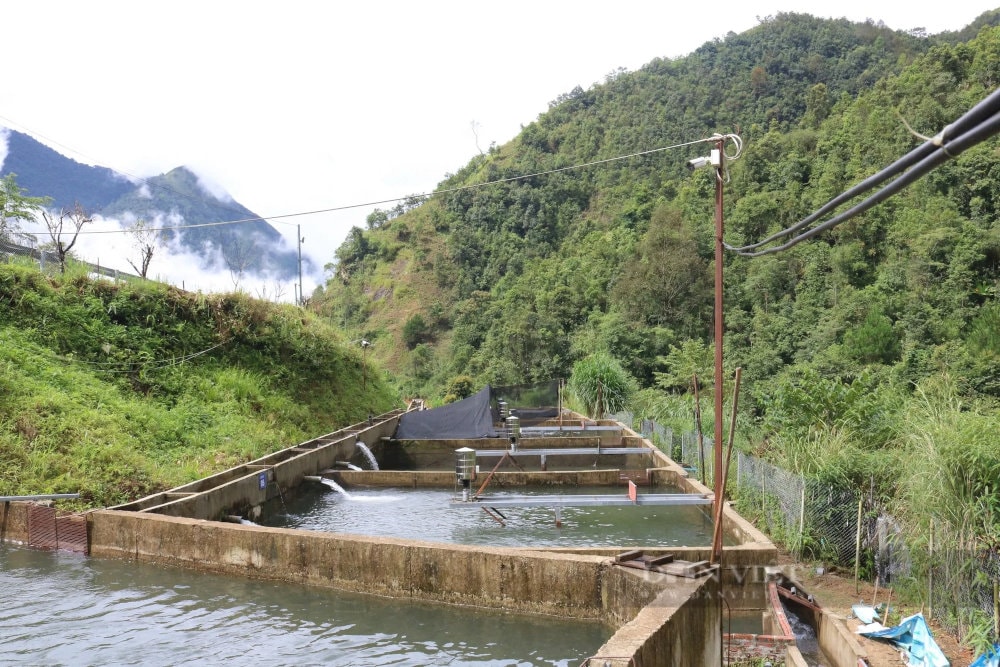 Sapa is one of the few places in Vietnam where salmon and sturgeon are successfully farmed